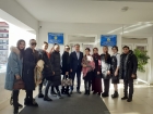 Прадник крастоты